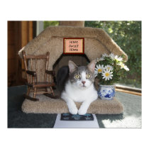 Chat drôle à la maison doux à la maison posters