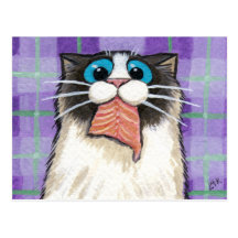 Chat effronté mangeant la carte postale saumonée