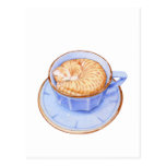 Chat en café cartes postales