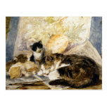 Chat et chatons endormis dans le studio de l'artis cartes postales