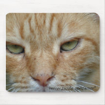 Chat et Mousepad Tapis De Souris