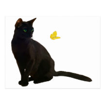 Chat et papillon de Bombay Carte Postale