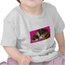 Chat faisant une sieste t-shirts