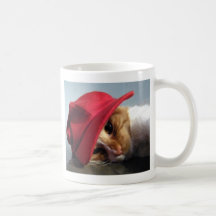 Chat mignon utilisant la tasse rouge de casquette