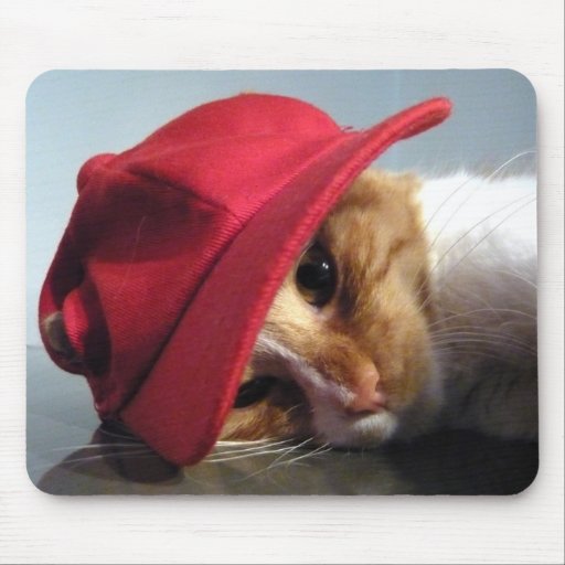 Chat mignon utilisant le casquette rouge Mousepad Tapis De Souris