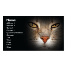 Chat Modèle De Carte De Visite