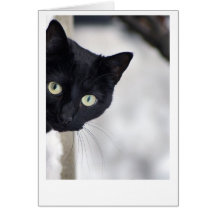 Chat noir cartes