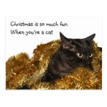 Chat noir de Noël Carte Postale