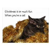 Chat noir de Noël Carte Postale