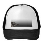 Chat noir de sommeil sur le gradient noir casquettes de camionneur