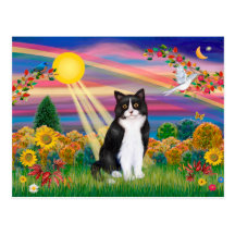 Chat noir et blanc - automne Sun Cartes Postales