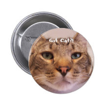 Chat obtenu pin's avec agrafe