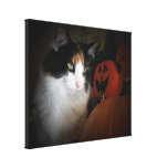 Chat O'Lantern Toile Tendue