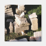 Chat parmi les ruines aimants