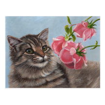 Chat pelucheux et carte postale rose de 3 roses