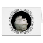 Chat persan avec les yeux verts de jade cartes