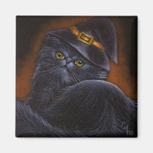 Chat persan noir avec le chapeau de sorcière - aim