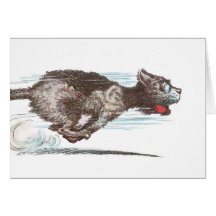 Chat rapide carte de vœux
