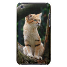Chat sauvage coque Case-Mate iPod touch