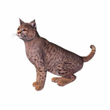 chat sauvage photo sculpture