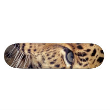 Chat sauvage plateaux de skateboards customisés