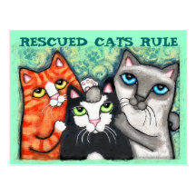 Chat secouru/abri carte postale
