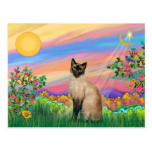 Chat siamois - étoile de jour cartes postales