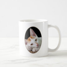 Chat somnolent tasse à café