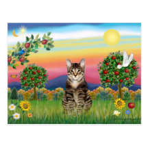 Chat tigré 1 de tigre - pays lumineux carte postale