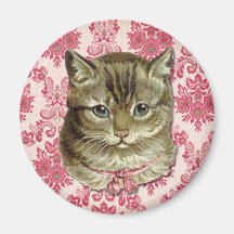 Chat tigré aimants