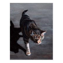 Chat tigré dans Sun avec la carte postale d'ombre
