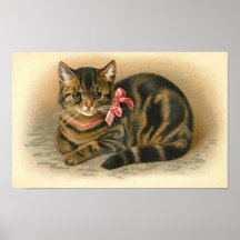 "Chat tigré " Posters