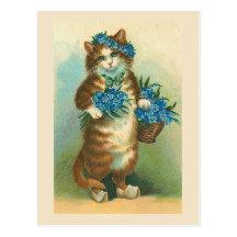 "Chat vintage avec la carte postale de myosotis de