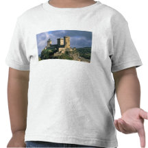 Château de Comtal de château des comptes de T-shirts