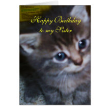 CHATON, CARTE D'ANNIVERSAIRE DE SOEUR