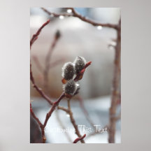 Chaton couvert de rosée ; Personnalisable Affiche