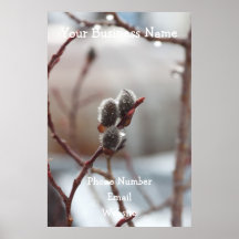 Chaton couvert de rosée ; Promotionnel Posters