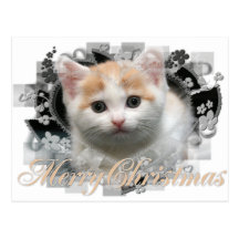 Chaton de Joyeux Noël - cartes postales de vacance