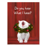 Chaton de Noël blanc Carte Postale