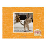 Chaton de Raptor Carte Postale