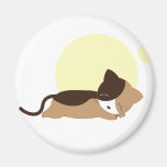 Chaton de sommeil magnets
