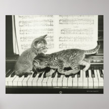 Chaton deux jouant sur le clavier de piano, (B&W) Posters