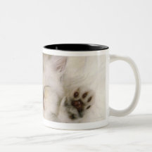 Chaton dormant sur un tapis pelucheux blanc, haut tasse à café