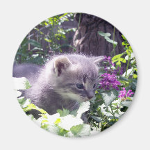 Chaton mignon aimant pour réfrigérateur