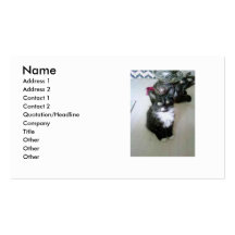 Chaton mignon modèle de carte de visite