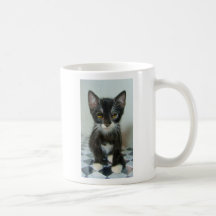 chaton noir et blanc tasse