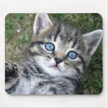 Chaton tigré argenté aux yeux bleus adorable Mouse Tapis De Souris