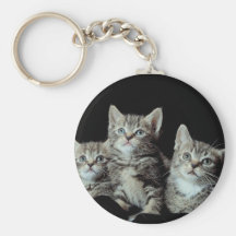 Chatons adorables porte-clés