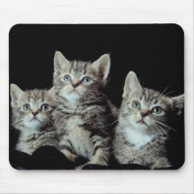 Chatons adorables tapis de souris