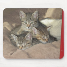 Chatons câlins tapis de souris